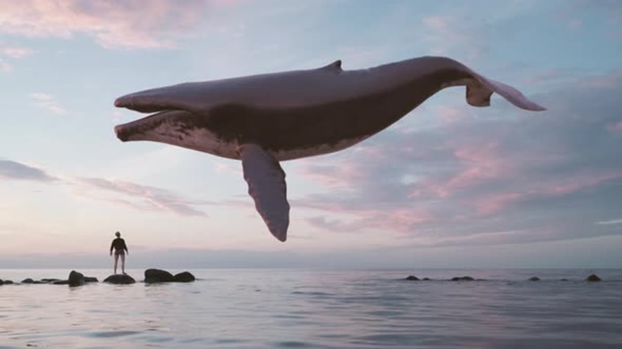 Cover for Flying Humpback Whale Surreal Abstract Loop