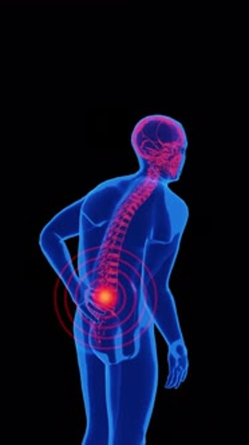 Illustration of waist pain in human anatomy portrait