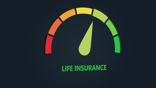 Life Insurance Gauge Meter Going Up Animation