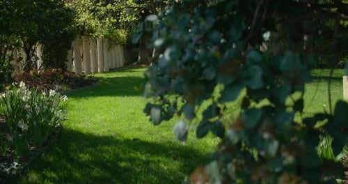 Beautiful Garden Lawn With Flowers And Trees On A Sunny Day- Selective Focus