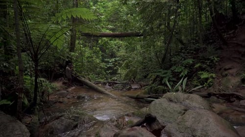 Male traveler hiker looking around exploring mountain river stream with hiking flashlight in jungle.