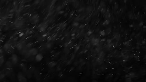 Snow Particles