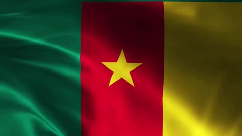 Cameroon Flag Animation Background