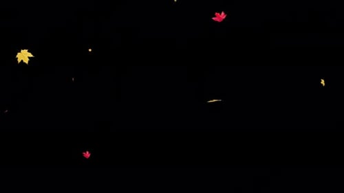 Falling Maple Leaves on Transparent Alpha 4K