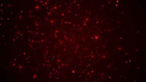 Romantic valentines day celebration, social media heart animated background. Wedding anniversary, lo