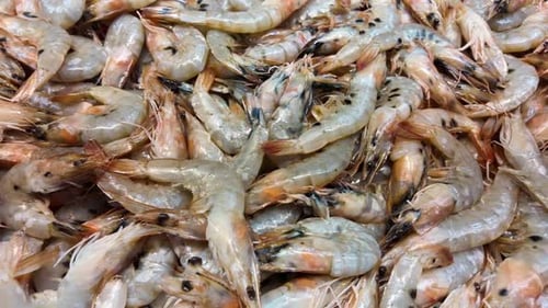 Shrimp Harvesting at Local Market in Coastal Town