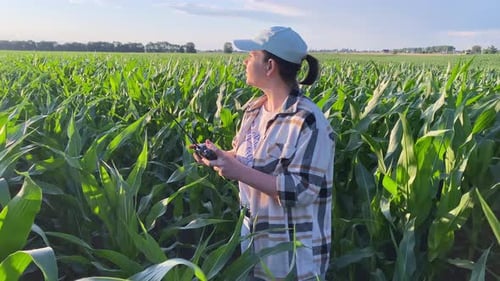 Farming Innovative Drone Technology in Agriculture at Sunset