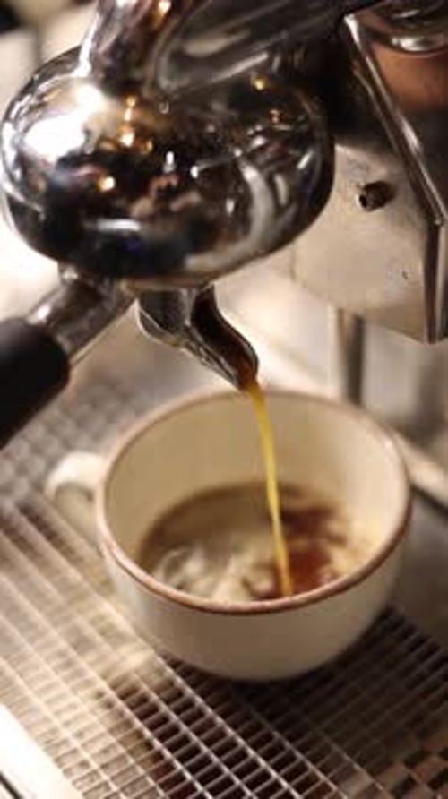 the bartender prepares aromatic coffee