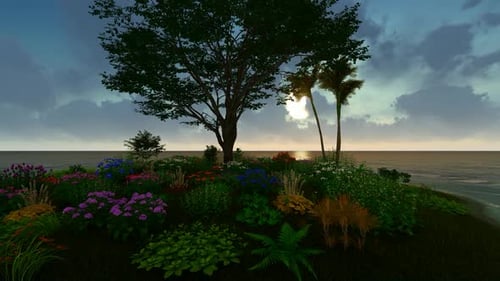 Ocean and Nature Sunset