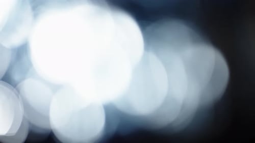 Blurred Black and White Abstract Video Bokeh Shimmering Bokeh of Natural Foliage on Sunny Sky