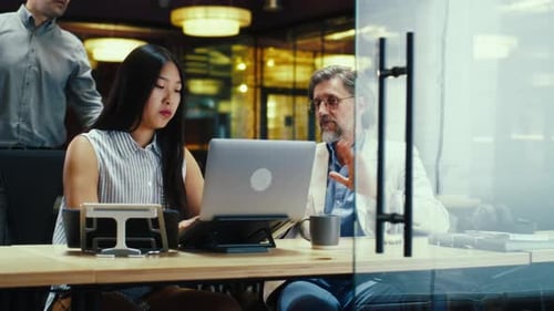 Diverse Office Workers Having Conference