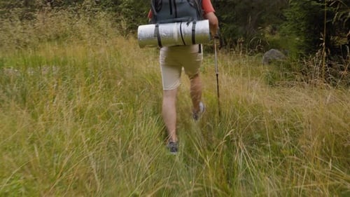 Close Up Back of Male with Pole Walking in Mountains