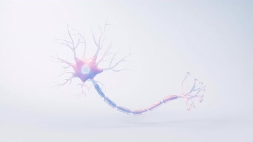 Biology nerve cell with biomedicine concept