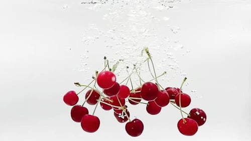 Red Cherries Falling in Water