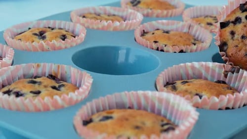 Fresh Baked Blueberry Muffins Tasty Sweet Cupcake Pastry Homemade Dessert Berry Pie in Silicone
