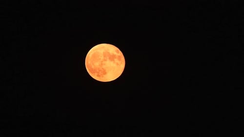Yellow super moon slowly rising in dark night sky