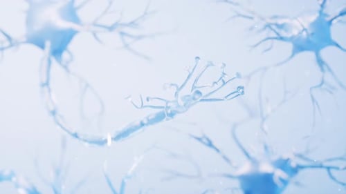 Biology nerve cell with biomedicine concept