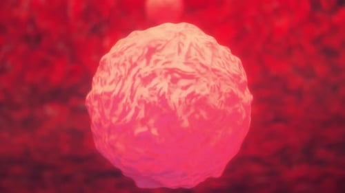 White Blood Cell Surrounded by Flowing Red Blood Cells in 3D Render
