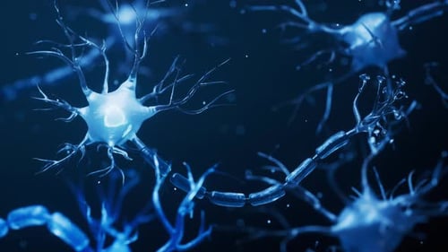 Biology nerve cell with biomedicine concept