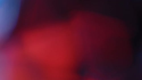 Multicolored Light Leaks Footage on Black Background Stylizing Video Transitions Bokeh Effect