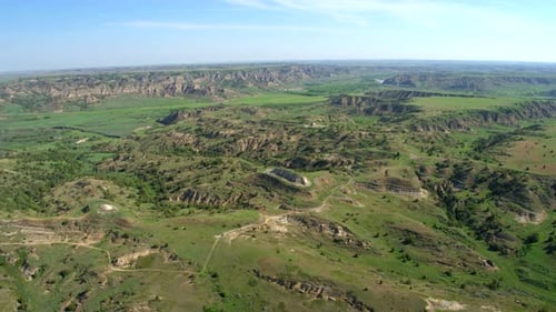 Theodore roosevelt national park wild horses grazing in golden prairie light