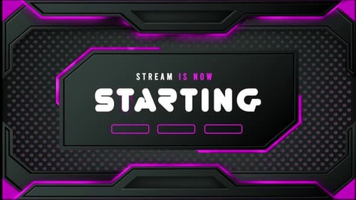 Livestreaming Intro Overlay Twitch Animation Purple Theme