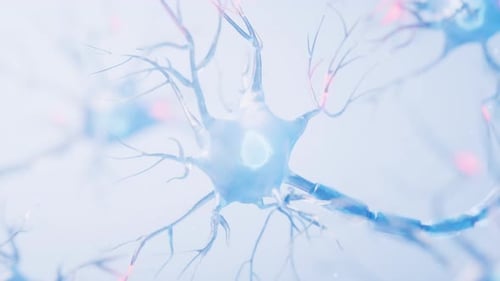 Biology nerve cell with biomedicine concept