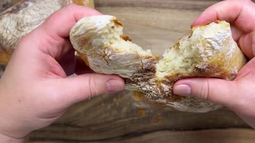Freshly baked, delicious homemade ciabatta is torn in half by hand.