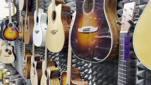 Shop for Acoustic Guitars of Various Sizes and Colors Concept of Musical Instruments