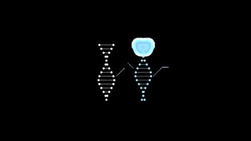 Interface Collection: Continuous main loop of animation of two DNA structures with elements going ac