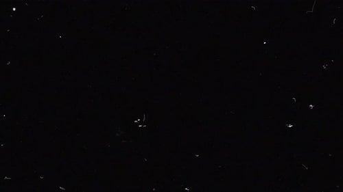 Noise Dust Grain and Brush Overlay