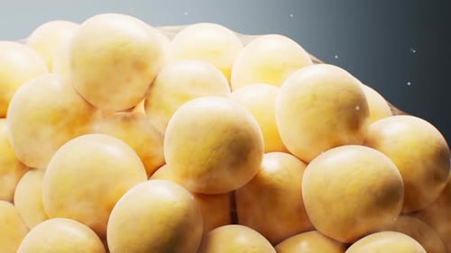 Biomedical microscopic fat cells structure