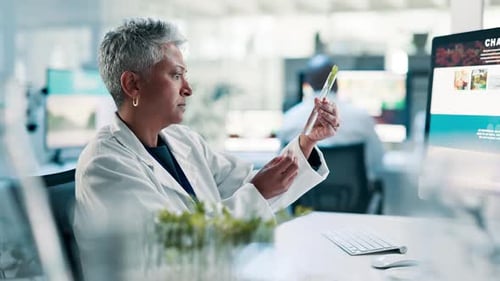 Scientist, woman and test tube with plant in laboratory for sample analyzing