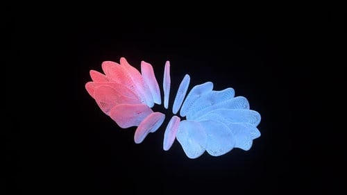 Abstract Rippling Animation