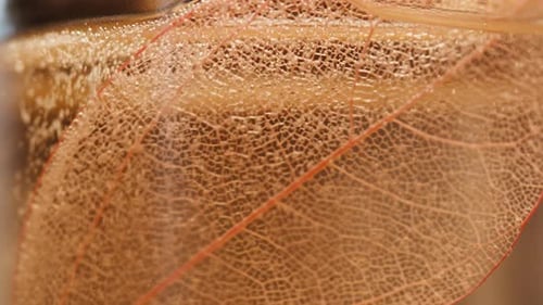 Un barman prépare un cocktail pour un invité au bar Une boisson alcoolisée rose glacée avec des bulles que Barman prépare