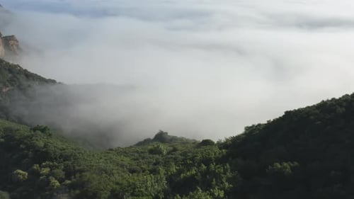 Flight Through the Magical Thick Fog Like Watching a Dream, Cloud Nine Footage