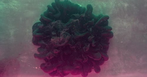 Ink Water Explosion Color Fluid Splash Grey Paint