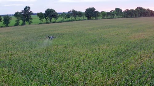 Red Sun Sunset Agro Drone