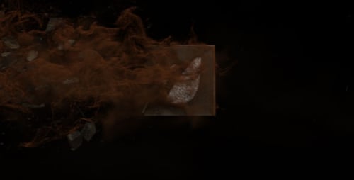 Blown Out Logo Reveal II