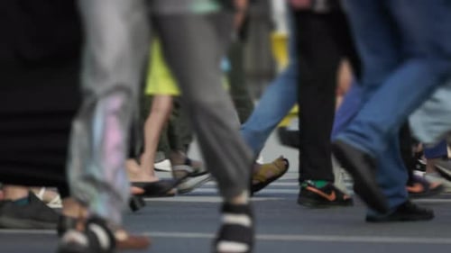 people pedestrians cross the crossroads in the city