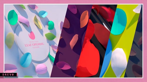 Leaf Romantic Opener/ Valentine's Day/ Tulips/ I Love You/ Sexy Logo/ Memory/ Honeymoon/ Wedding/ TV