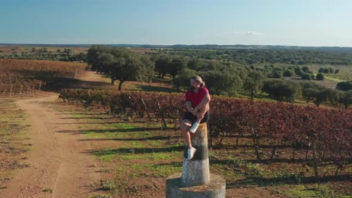 Aerial View of a Tourist Observing Scenic Vineyard in Rural Area