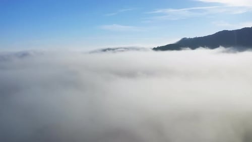 Cinematic Nature, Drone View Flying Through Thick White Fog Clouds at Sunrise
