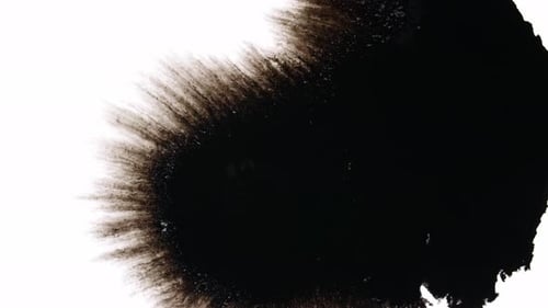 Black Ink Drops On White Background