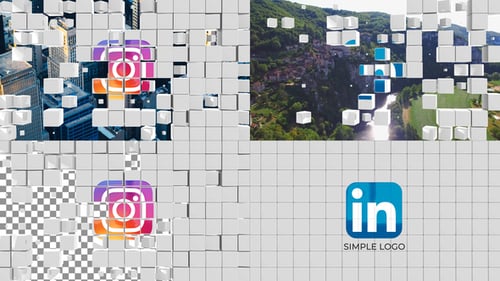 Transition Logo Reveal