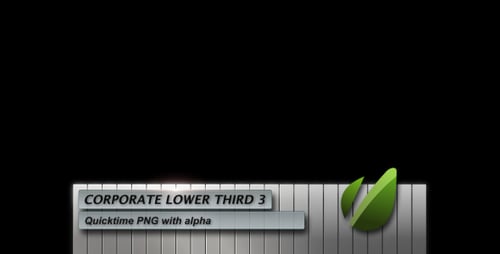 Terceiro inferior corporativo 3