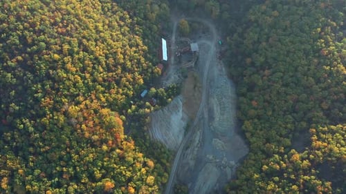 Gold Mining In The Forest 3