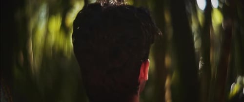 Man looks around forest