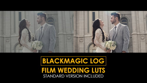 Blackmagic Film Wedding and Standard Luts