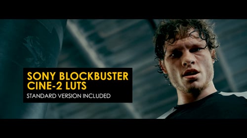 Sony Blockbuster Cine-2 and Standard LUTs